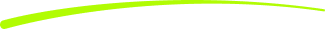 vector 11 stroke.webp